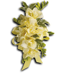 Let Love Shine Corsage Cottage Florist Lakeland Fl 33813 Premium Flowers lakeland